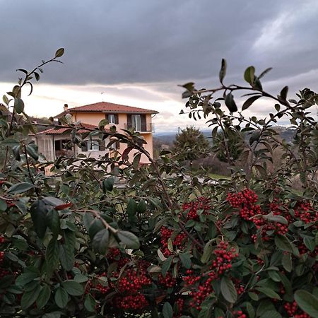 La Casa Di Mezzo-Affitti Brevi-Zona Ospedali Villa Busso Bagian luar foto